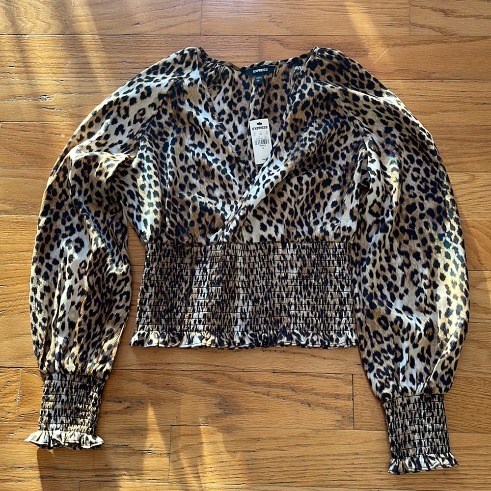 Adorable leopard print V-neck crop top from Express.